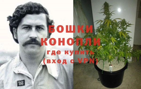 мдма Новозыбков
