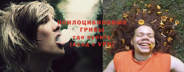 a pvp Новодвинск