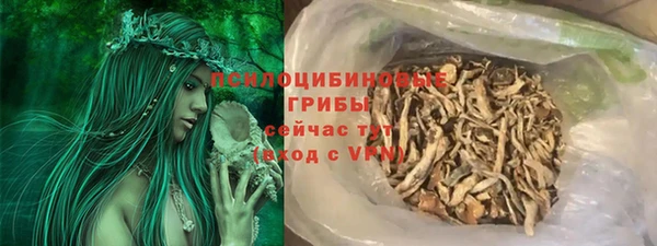 a pvp Новодвинск