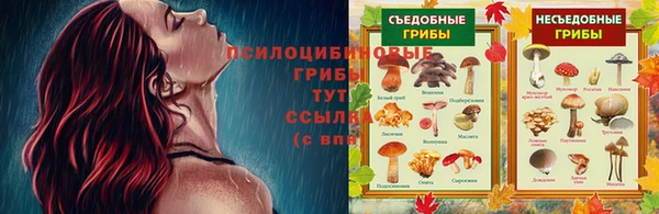 не бодяженный Новокубанск