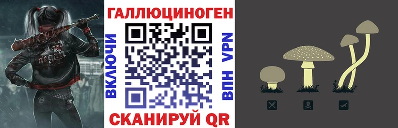 кракен как зайти  Кунгур  Псилоцибиновые грибы мицелий 